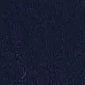 navy color