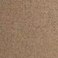 oatmeal color