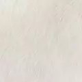 ivory color