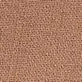 camel color