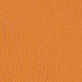 mango color