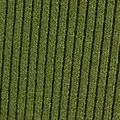 green color