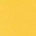 yellow color