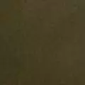 khaki color