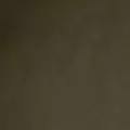 khaki color