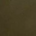 khaki color