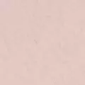 blush color