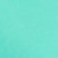 aqua color