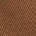 camel color