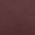chocolate color