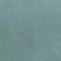 turquoise color