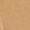 camel color