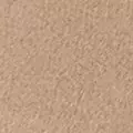camel color