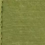 khaki color