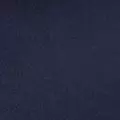 navy color