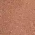 camel color