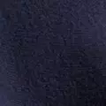 navy color
