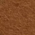 camel color