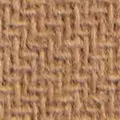 camel color