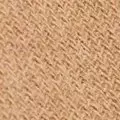 camel color