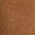 camel color