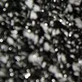 black color