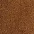 camel color