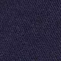 navy color