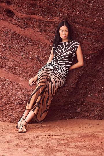 Petite Jacquard Zebra Print Slinky Maxi Dress brown