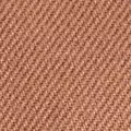 camel color