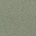 sage color