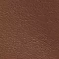 camel color