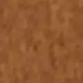 camel color