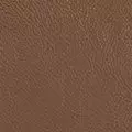 chocolate color