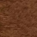 toffee color