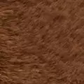 toffee color