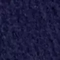 navy color