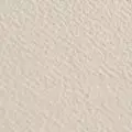 ivory color