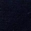 navy color