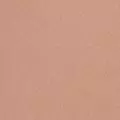 nude color