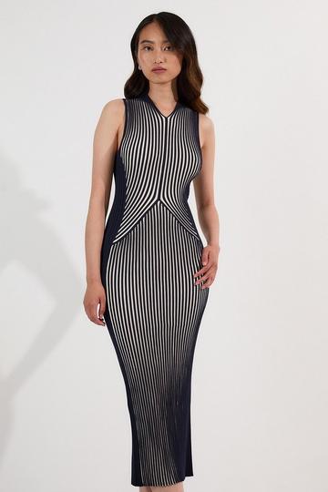 Petite Stripe Fitted Sleeveless Knitted Midi Dress stripe