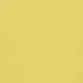 lime color