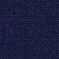 navy color