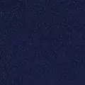 navy color