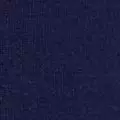 navy color