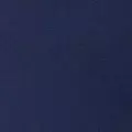 navy color