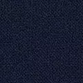 navy color