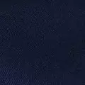 navy color
