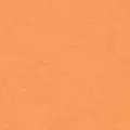 mango color