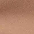 camel color
